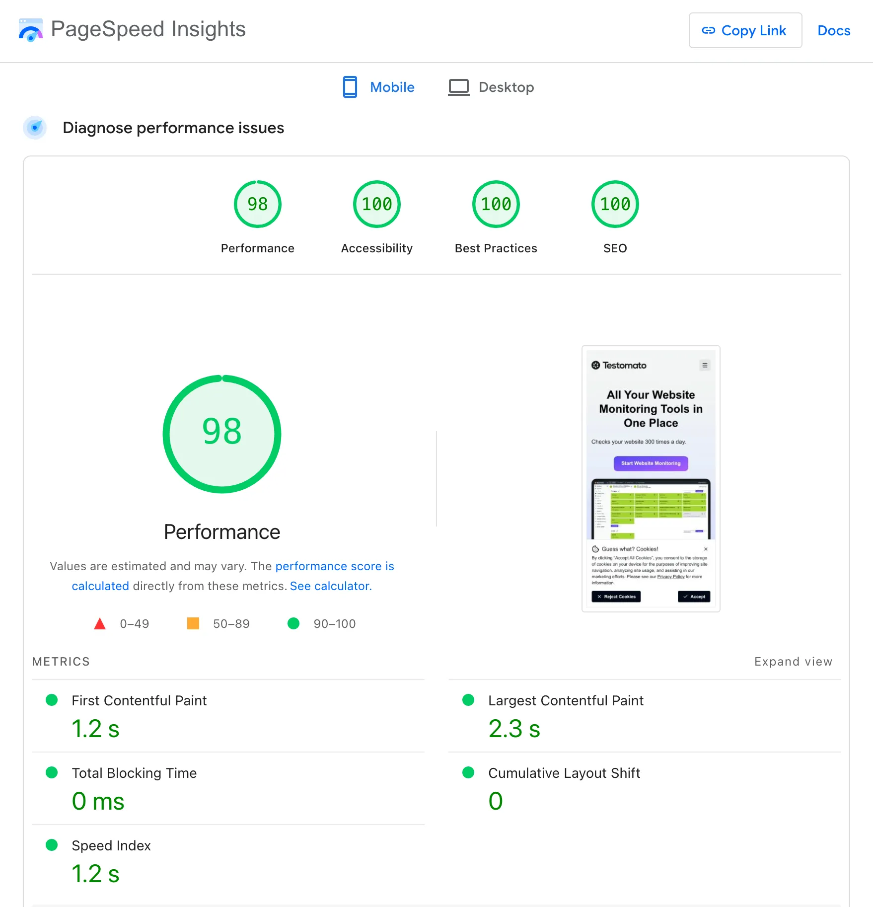 PageSpeed Insights Performance score for new site